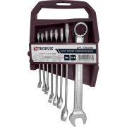 CWS0008 Набор ключей гаечных комбинированных на держателе, 8- 19 мм, 8 предметов, шт